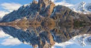 Reporting de mon portefeuille : quatorzième année